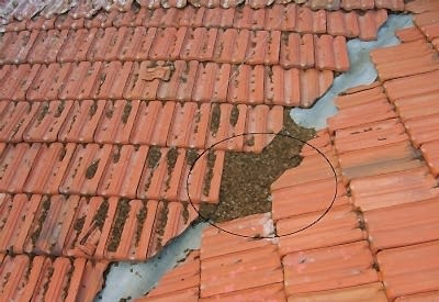 Gider Yolunun Tıkanması